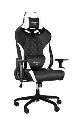 22043 RBG Multicolor Light R1 Gaming Chair Race Style Seat with Lumbar and Pillow BLACK/WHITE
